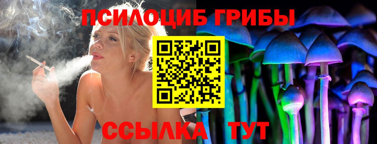 Галлюциногенные грибы прущие грибы Камышлов